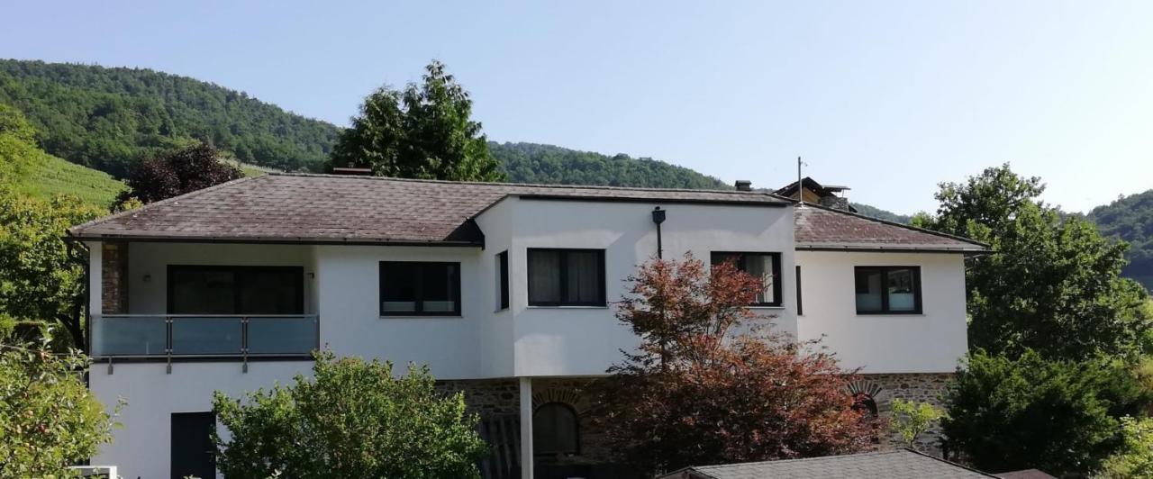 Ferienhaus Johanna Spitz an der Donau Kültér fotó