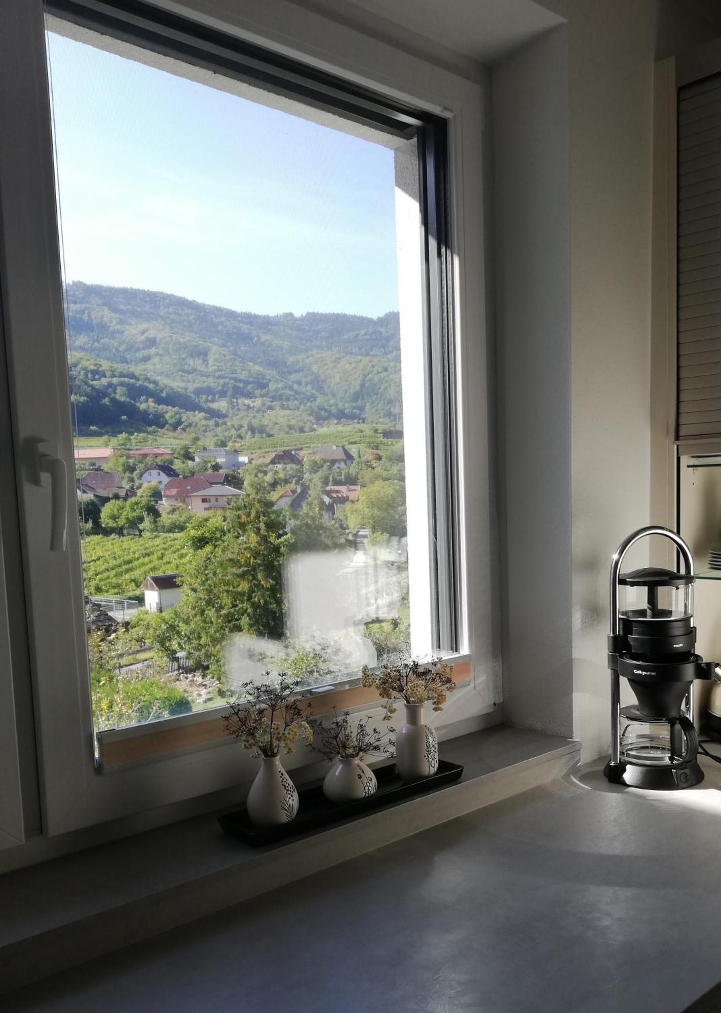 Ferienhaus Johanna Spitz an der Donau Kültér fotó